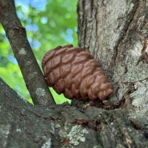 Pinecone Cache Container - Image 2