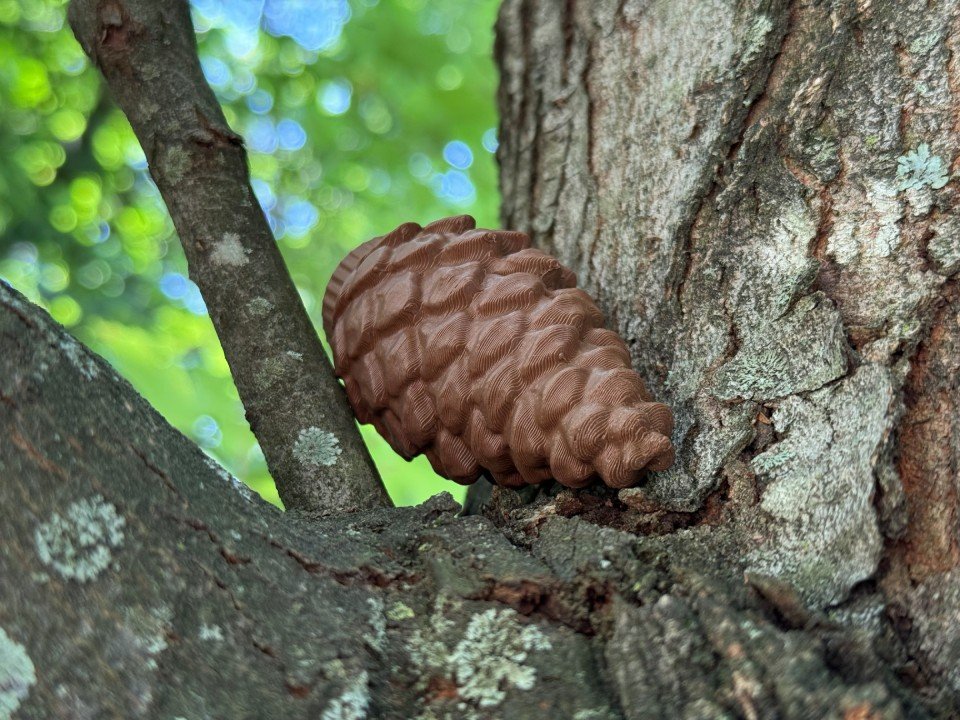 Pinecone Cache Container
