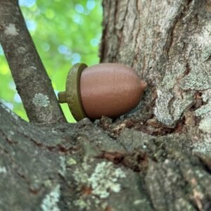 2 Acorn Cache Containers - Image 2