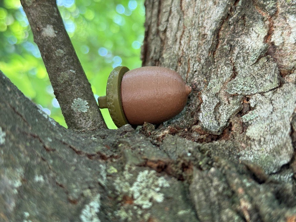 2 Acorn Cache Containers