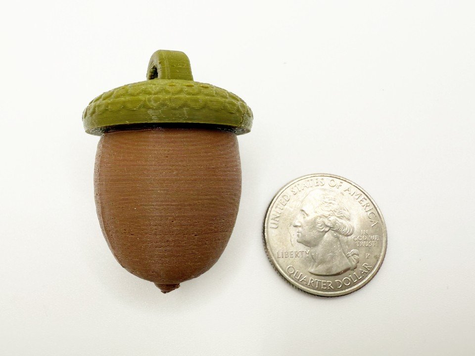 2 Acorn Cache Containers