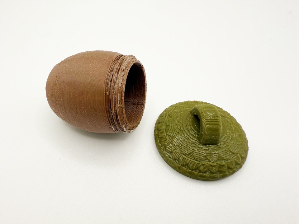 2 Acorn Cache Containers